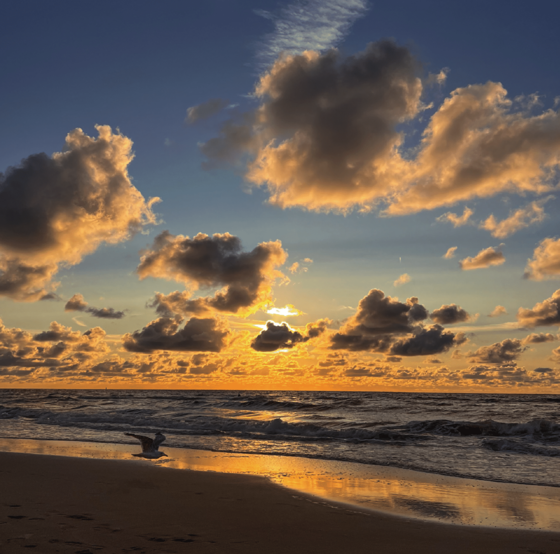  Strand afbeelding 'lente' 